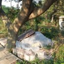 화원태양광발전소 이미지