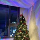 이마트트레이더스 비산점 | 이마트 트레이더스 비산점 크리스마스트리 추천 집안 분위기 확 달라졌어요