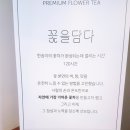 자작나무-쉼표