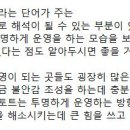 엔에프티 이미지