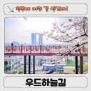 하늘길 | 청주 새로운 여행지 우드하늘길 후기｜수암골전망대 산책 코스, 벚꽃·야경까지 한 번에(직접 다녀옴)