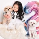 고려대역 이미지