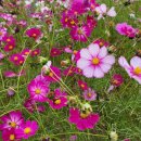 가덕환경자원 이미지