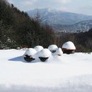 감자바우 이미지