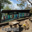 브리즈트리 | [푸껫] 푸켓 시내가 한눈에! 카오랑 전망대 야경 & '카오랑 브리즈' 새우튀김 솔직 후기 (ft. 원숭이)