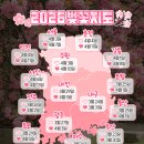 2026년 벚꽃 개화시기 총정리! 시작부터 만개까지 지역별 벚꽃 타이밍 알아보기