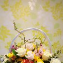 대학초등학교 이미지