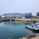 제주해남다이브센터 | 제주 바다 제대로 즐기기 노블레스 다이브 센터 후기 세부 다이빙 세부 펀다이빙 세부 스킨스쿠버 체험기