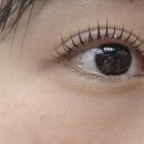 나나솔
