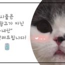 유디티수산 이미지