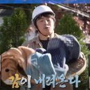 홍시사이다