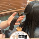 의정부 민락동 미용실 &#39;살롱드프롬 의정부점&#39; 시세이도 클리닉 내 돈 내산 찐추천 후기