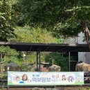 팡스팡스 이미지