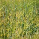 상백1리 마을회관 이미지