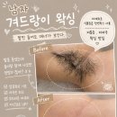 에스클라스