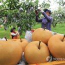 하나로수산동 이미지