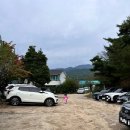 대구 아이와 가볼만한곳 자라니 농촌교육농장 고구마 캐기 체험 후기