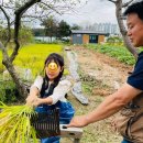 농업회사법인(주)동일농장 | 비틀즈자연학교 [우수치유농업시설 인증] 획득!