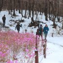 서운산 이미지