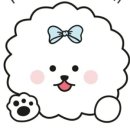 순심이네 펫 살롱 이미지