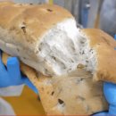 식빵공장 이미지