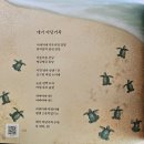 아기 바다 거북/박희순 이미지