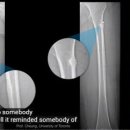 (주)케이디메디케어 이미지