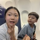 얌샘김밥제주 - 제주시 구남동6길 6 | 제주도1-2일, 제주4.3평화공원, 만장굴, 엠버퓨어힐, 곰막국수, 흑돈가