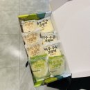 3월 3주 챠 일상 일기ㅣ끝이 없이 타오를 단정할 수 없는 Us