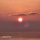 강남직업소개소 네이버블로그