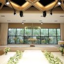 (주)벨라투어 이미지