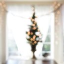 둔산1동행정복지센터 이미지