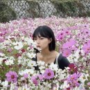 참 미용실 | 짧은 단발 태슬컷 청주 산남동 미용실 살롱드푸즈 첫 방문 후기