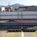 강진시장 이미지