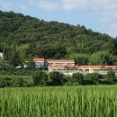 차오름건강 이미지