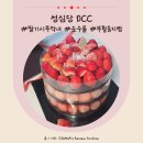 막내 | 성심당 DCC 딸기시루막내 후기 순수롤, 부활둥지빵까지 내돈내산 리뷰