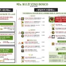비노다이닝