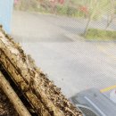 횡천보건지소 이미지