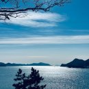 김약국 이미지