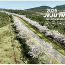 동부 비상-1호 | 2025년 제주국제트레일러닝 대회 소개