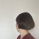 몽구리 매직 후기 증산역 볼륨매직 잘하는집(페이퍼넛츠는 덤)