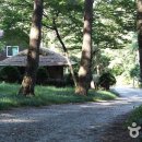 별의향기민박 이미지