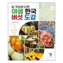 석순자