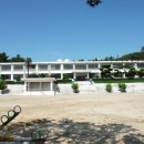 비금초등학교 이미지