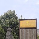 4894 | 제주 성산 고등어 초밥이 신선하고 맛있는 타쿠마스시 내돈내산 방문후기