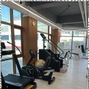 바른피티 이미지