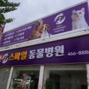 스마일동물병원 이미지
