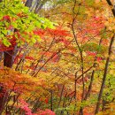 어느멋진날에 1 이미지