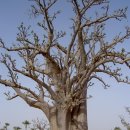 (주)엔터버드 이미지