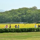 신라고등학교 이미지